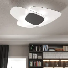 Top Light...