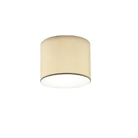 Illuminando CILINDRO PL20 BN lámpara de techo