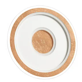 Plafonnier LED Promoingross LOOP T50 LED CCT