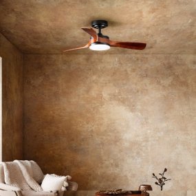 Ventilatore classico Perenz...