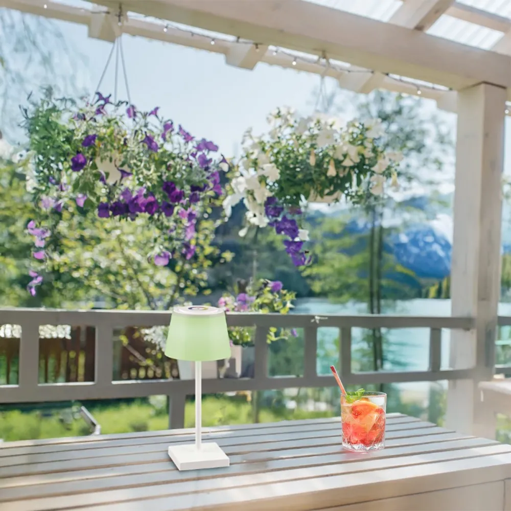 Abat-jour extérieur Trio éclairage SANCHEZ R54126131 IP44