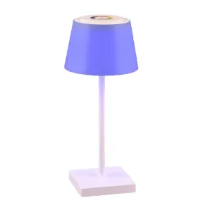 Abat-jour esterno Trio lighting SANCHEZ R54126131 IP44