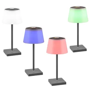 Externer Lampenschirm Trio Beleuchtung SANCHEZ R54126142 IP44 RGB LED