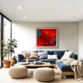 Sforzin redondo NASSO iluminación T424 GX53 LED plafón de yeso