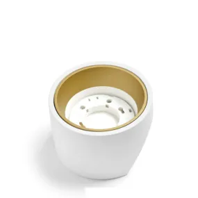 Applique gesso Sforzin...