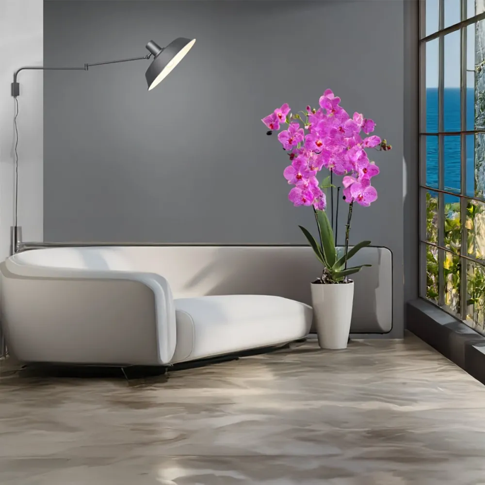 Trio Lithing BOLDER 200300132 bras mural réglable réglable