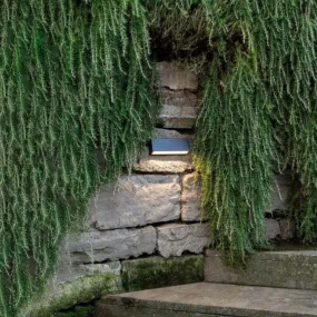 Moderne Wandleuchte Sovil...