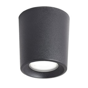 Plafoniera esterno resina Top Light PISA PLP NE