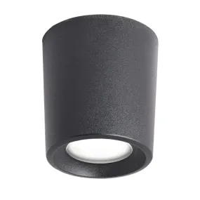 Top Light Light PISA PLP NE