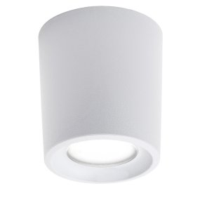 Plafoniera esterno resina Top Light PISA PLP