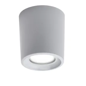 Plafoniera esterno resina Top Light PISA PLP GR