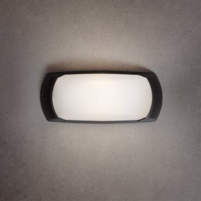 Applique esterno resina Top Light ANDORA NE E27 LED CCT
