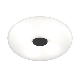 Plafoniera vetro soffiato bianco Top light BENNY 1217 PLG