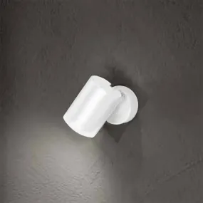 Foco cilíndrico orientable...