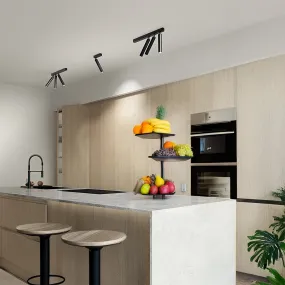 Lámpara de techo orientable...