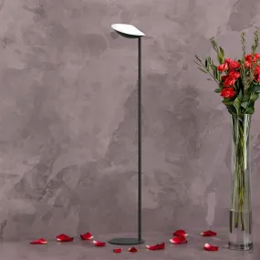 Piantana moderna Top Light...