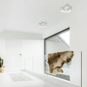 Plafoniera gesso Sforzin...