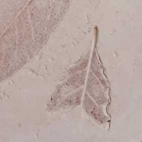 Toscot VIVALDI 1061 25x25 GX53 LED-Deckenleuchte