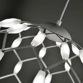 Eh bien S40 Promoingross