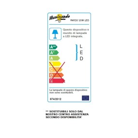 Ampoule LED PAR30 10W éclairante