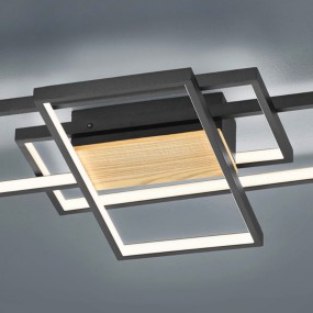 Trio Lighting TUCSON...