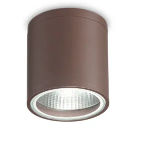 Außenzylinder aus Aluminium mit Licht von oben nach unten, zwei Lichter, GU10-LED.