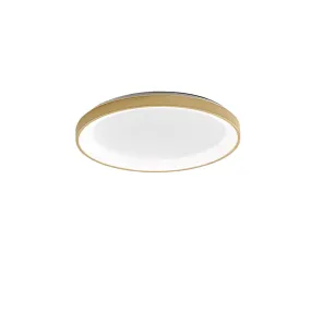 Plafoniera anello Gea Luce KRIZIA PG O