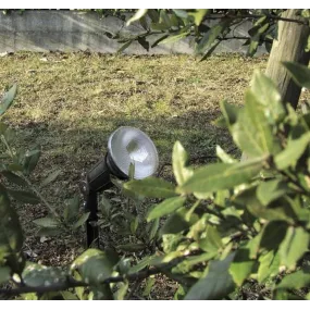 Lampadari Bartalini PAR38 1 P BLK DB.0012 E27 LED