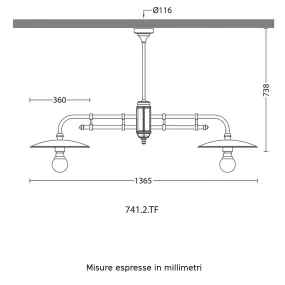 Barbell Garden Light SCALES...