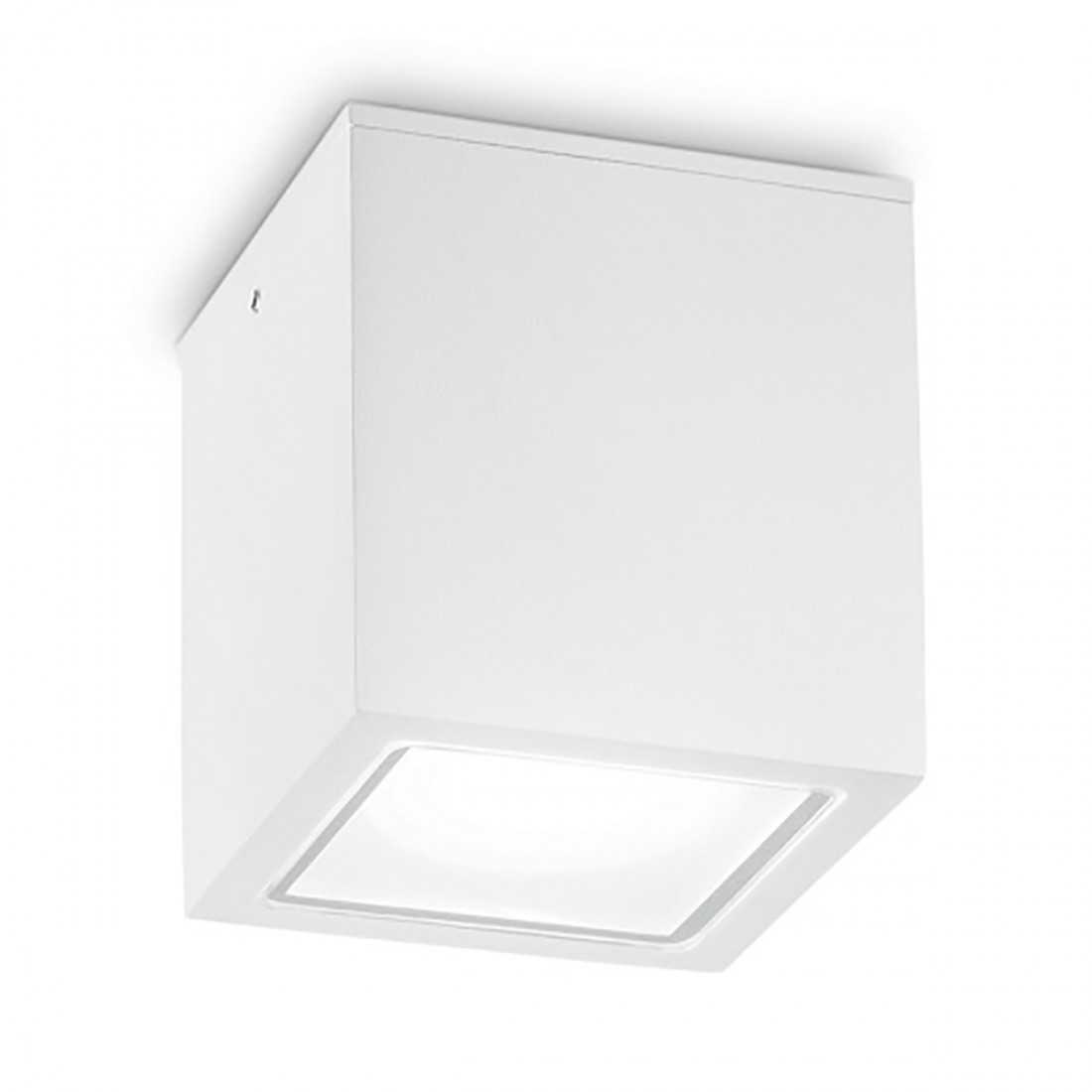 Plafoniera esterno Ideal Lux TECHO 251561 251554 251578