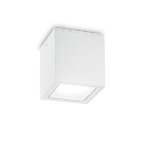Ideal Lux TECHO SMALL 251561 251554 251578