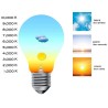 Klassische Wandlampe aus Metall und Lampenschirm, E14 interne LED IP20