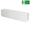 LAMPADE con KIT EMERGENZA IP65